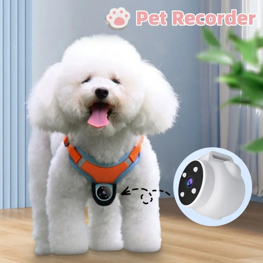 Pets Recorder Pet Tracker Collar Dogs